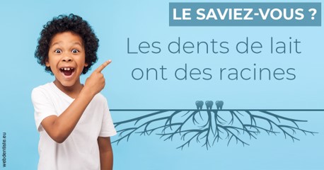 https://dr-francisci-mc.chirurgiens-dentistes.fr/Les dents de lait 2