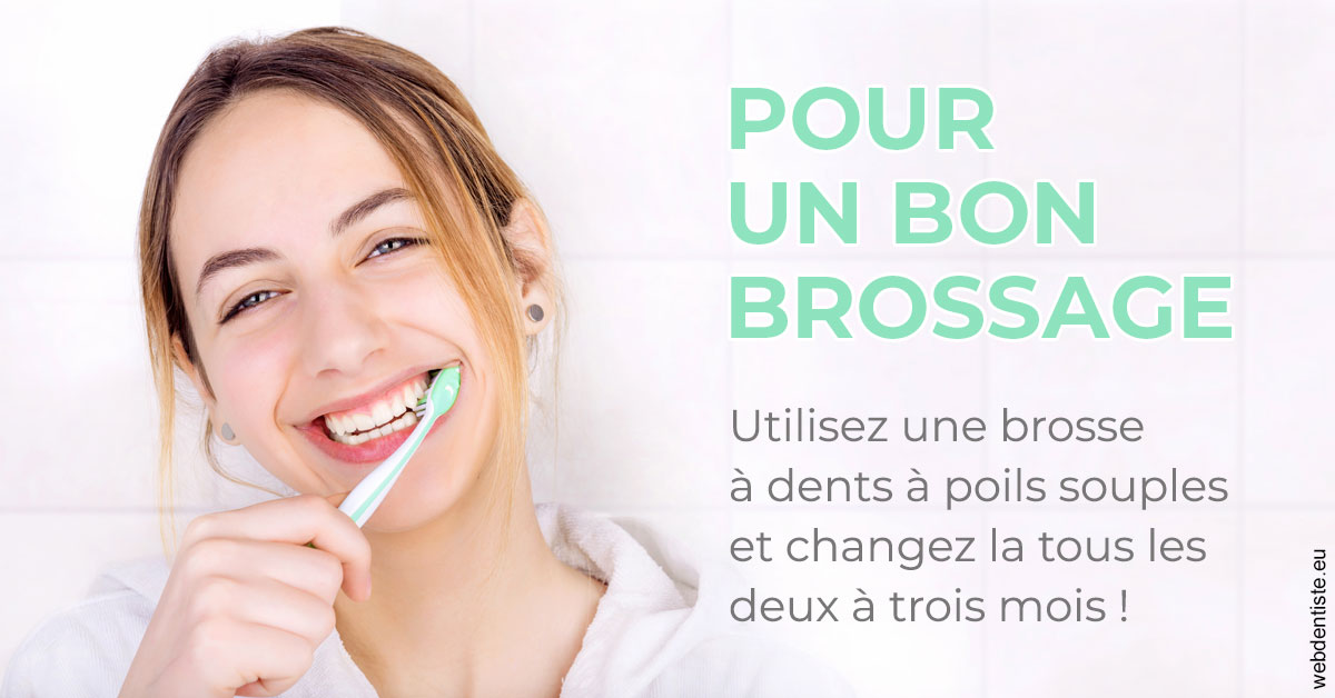 https://dr-francisci-mc.chirurgiens-dentistes.fr/Pour un bon brossage 2