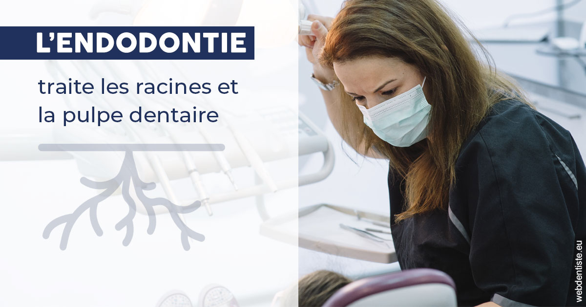 https://dr-francisci-mc.chirurgiens-dentistes.fr/L'endodontie 1