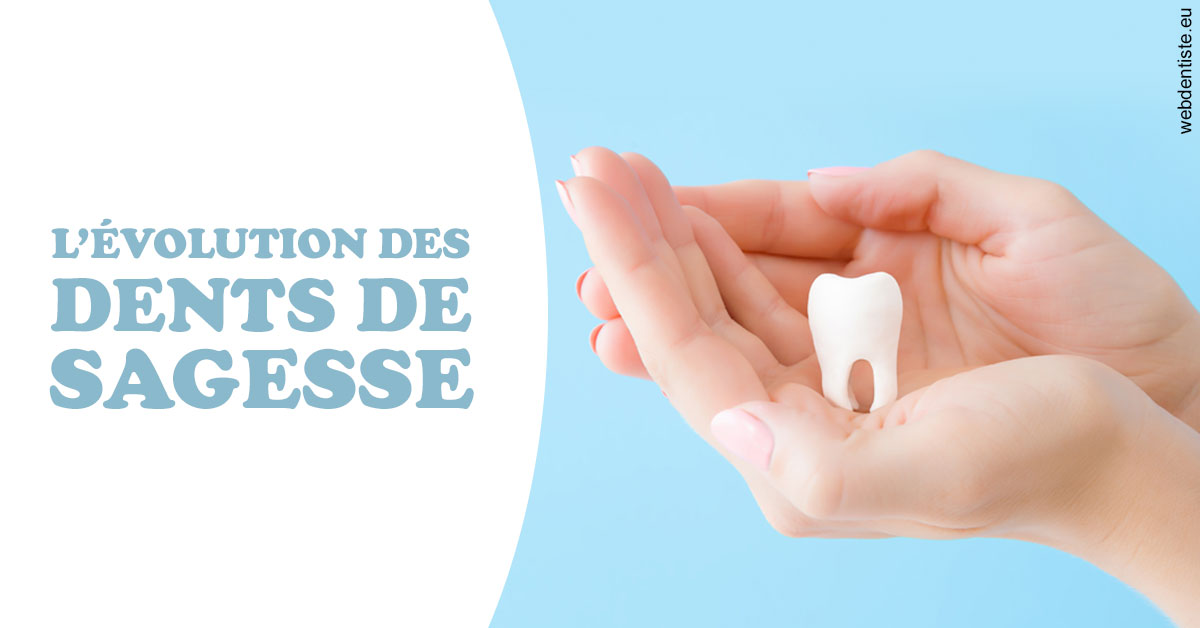 https://dr-francisci-mc.chirurgiens-dentistes.fr/Evolution dents de sagesse 1