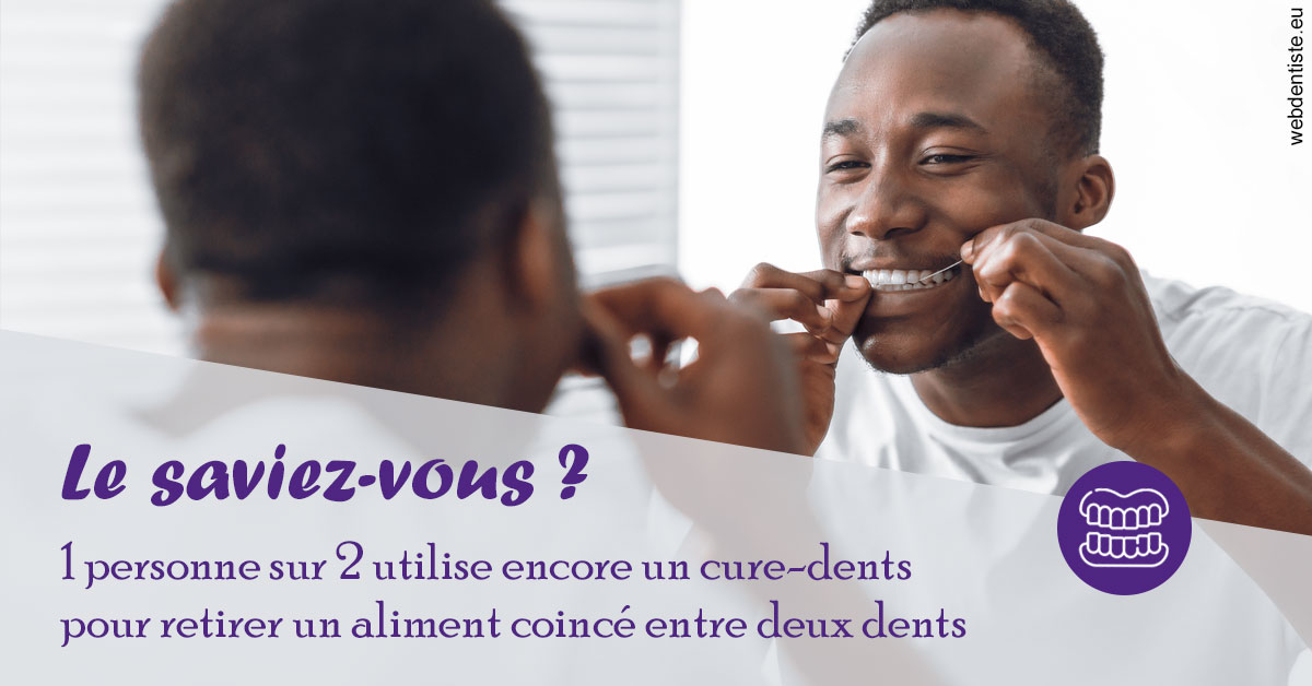 https://dr-francisci-mc.chirurgiens-dentistes.fr/Cure-dents 2