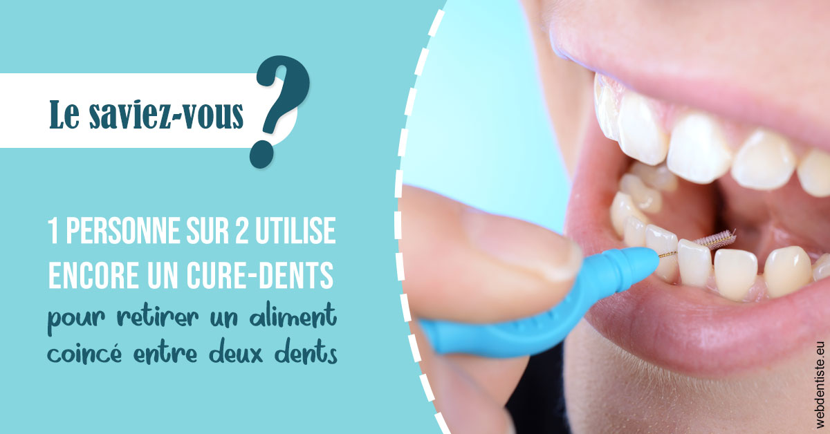 https://dr-francisci-mc.chirurgiens-dentistes.fr/Cure-dents 1